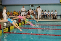 Urz�d Miejski w Wolsztynie