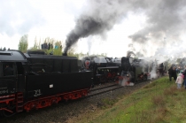 Urz�d Miejski w Wolsztynie