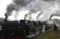Urz�d Miejski w Wolsztynie