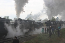 Urz�d Miejski w Wolsztynie