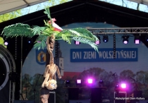 Urz�d Miejski w Wolsztynie