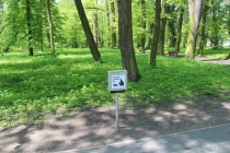 Urz�d Miejski w Wolsztynie