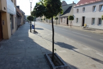 Urz�d Miejski w Wolsztynie
