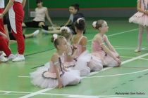 Urz�d Miejski w Wolsztynie