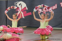 Urz�d Miejski w Wolsztynie