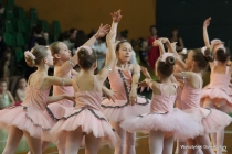 Urz�d Miejski w Wolsztynie