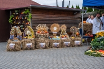 Urzd Miejski w Wolsztynie