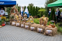 Urzd Miejski w Wolsztynie
