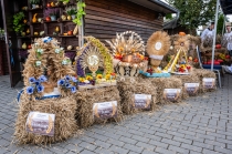 Urzd Miejski w Wolsztynie