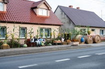 Urzd Miejski w Wolsztynie