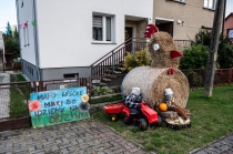 Urzd Miejski w Wolsztynie