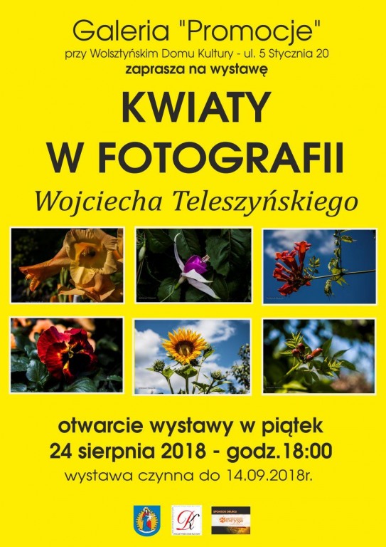 Wystawa Fotograficzna