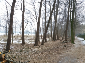 Urz�d Miejski w Wolsztynie