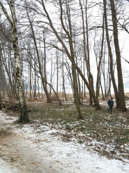 Urz�d Miejski w Wolsztynie