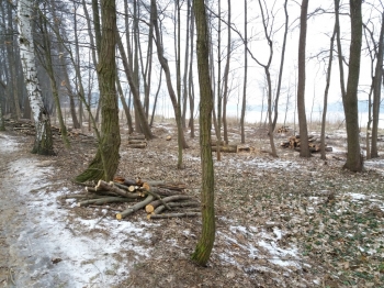 Urz�d Miejski w Wolsztynie