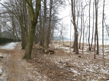 Urz�d Miejski w Wolsztynie