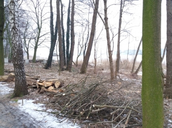 Urz�d Miejski w Wolsztynie