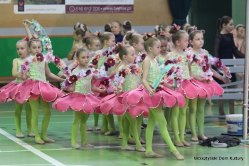 Urz�d Miejski w Wolsztynie