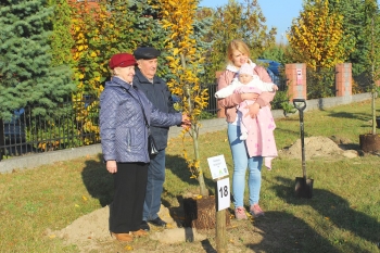 Urzd Miejski w Wolsztynie