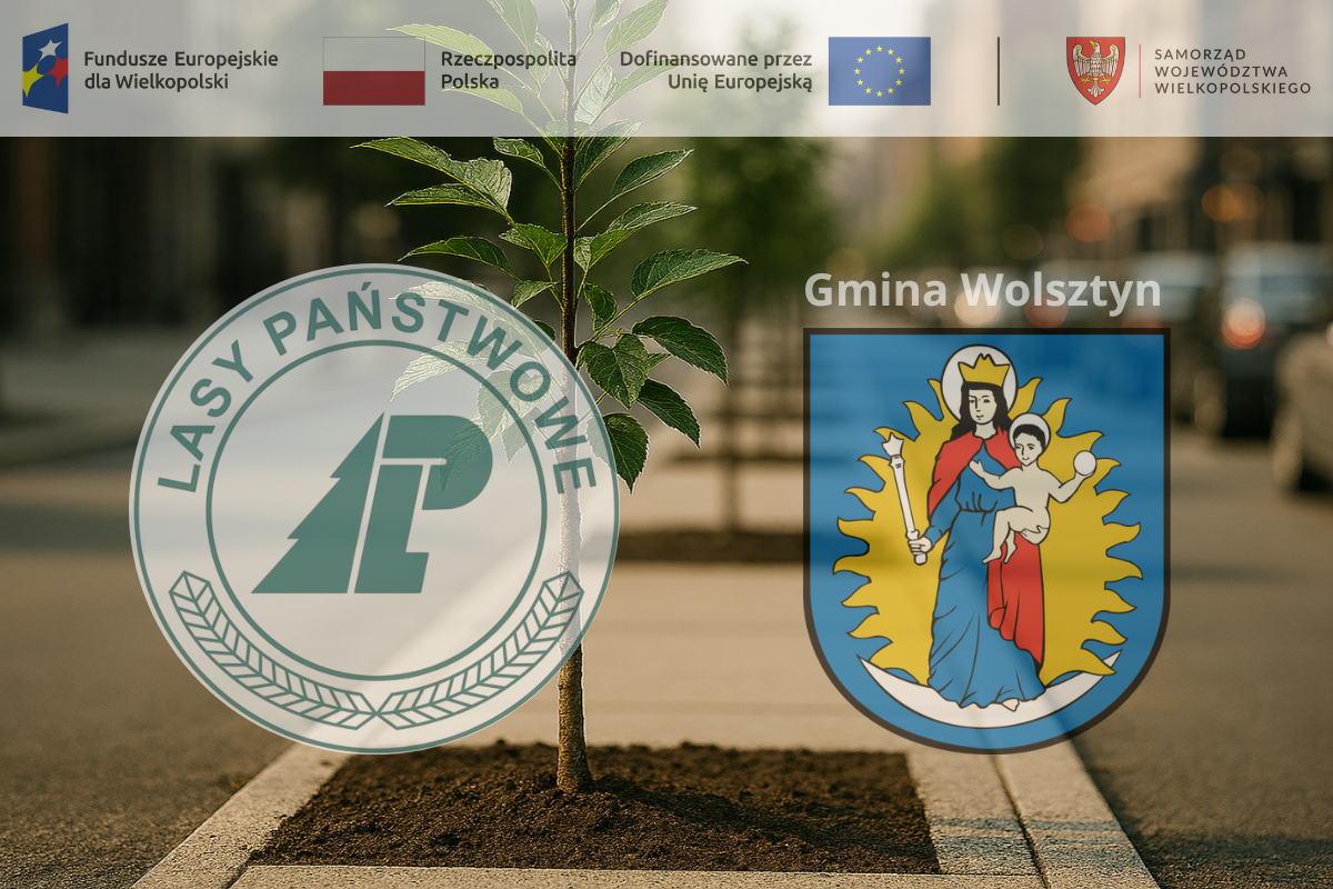 Urzd Miejski w Wolsztynie