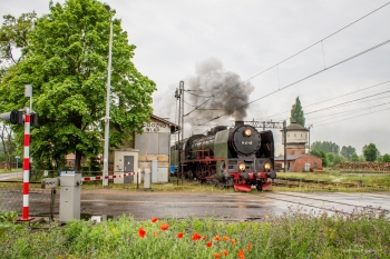 Urz�d Miejski w Wolsztynie